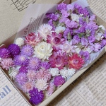 ドライフラワー 花材 ピンク＆ホワイト3種セット