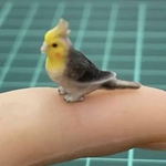 ミニチュア★リーメントに★オカメインコ★リカちゃんに★フィギュア★1/64より大　ミニチュアイメージ　ドールハウスに　シルバニアに　フルカラー3Dプリンター　3Dフィギュア　リアルフィギュア