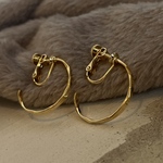 earring