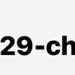 ta29-chanさま専用　ポーチ2点