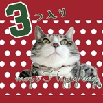 もぐの福袋☆3つ入り猫シュシュ首輪