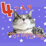 もぐの福袋☆4つ入り猫シュシュ首輪