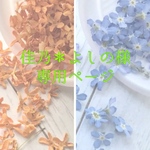 佳乃＊よしの様専用ページ