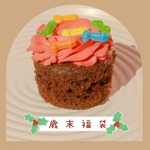 🎄❄🎄❄福   袋☃ ❄ ☃ ❄