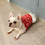 冬新作犬服オーダー♡北欧りんご柄ボア袖T赤色♪中型犬小型犬フレブル服パグ服フレンチブルドッグ服中型犬小型犬ボストンテリア服