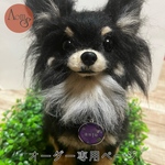 【オーダー専用ページ】『うちの子』オーダー ロングコートチワワ Sサイズ