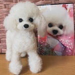 手のひらサイズ 羊毛フェルト オーダーわんちゃん