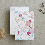 ポストカード  「 桜 」２枚セット メッセージカードにも