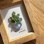 シーグラスアート／Believe in your self. ／多肉植物　観葉植物　インテリア　ミニフレーム