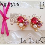 big bijou♡ピアス イヤリング