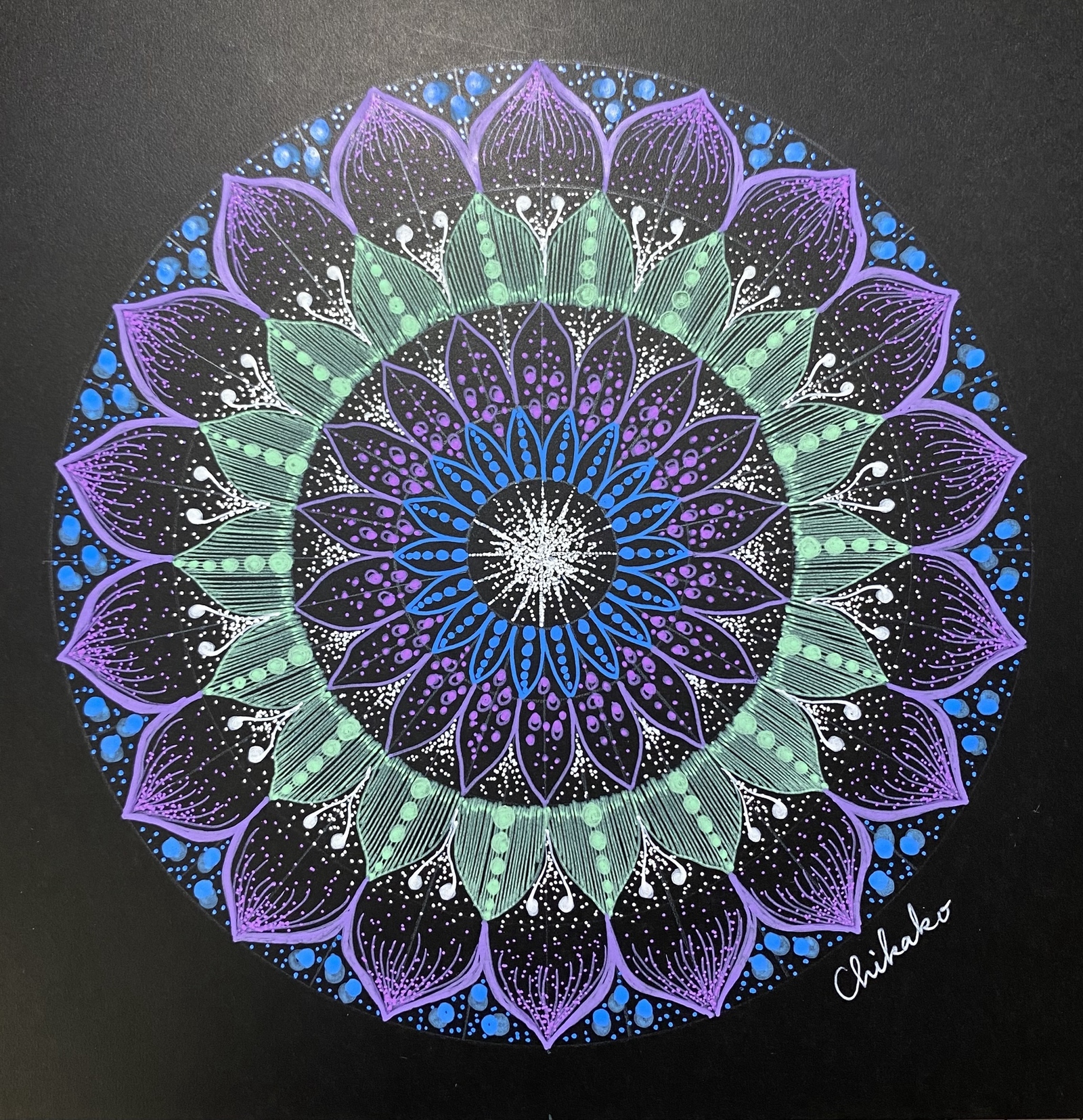 紫陽花