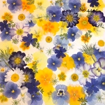 ♡new♡作家様必見♡押し花MIXセット♡押し花セット
