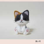 三毛猫ちゃん　2