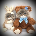 yama様専用お値引き中　10000円→9000円　オーダーメイド　くまの着ぐるみ猫ちゃん🐱　わんちゃん🐶　