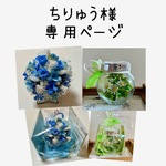ちりゅう様専用ページ