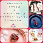 【赤い花のハッピーバッグ2024】福袋／薔薇／花びら／小ぶり／大ぶり／ドライフラワー／押し花／ボタニカル／アクセサリー／ギフト／セット／ハッピーバッグ／レッド