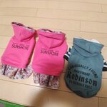 専用ページ