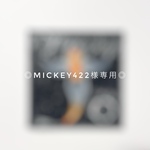 ⚫︎mickey422様専用ページ⚫︎