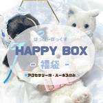 2024年 HAPPYBOX🎁 🎀 ぬいぐるみなし 🎀