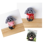 himikoinu 様専用♡newおでかけわんこ『うちの子オーダー』(mii._.wool)