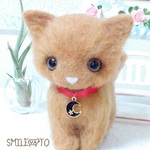 おすましねこちゃん※マンチカンの子猫※