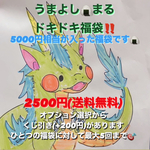 2500円‼️2024年ドキドキうまよし福袋🍙🐾