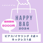 送料無料【HAPPY BAG 2024】ピアス/イヤリング2点＋サージカルステンレスネックレス  合計3点セット 福袋
