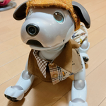 パンツ＆シャツ風スタイ（犬プリント✖️チェック柄）