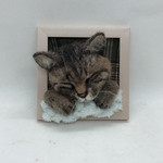 nana様専用　値下げ中　6500円→5800円　うとうとわんちゃん、ねこちゃんのミニフレーム　オーダーメイド　羊毛フェルト