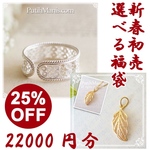 2024年福袋・22000円分の商品を入れられる16500円ハッピーセット[newyear2024-15000]