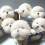 bosbos様専用となります
