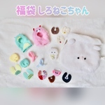  〖2024福袋〗おしゃれしろねこちゃんセット