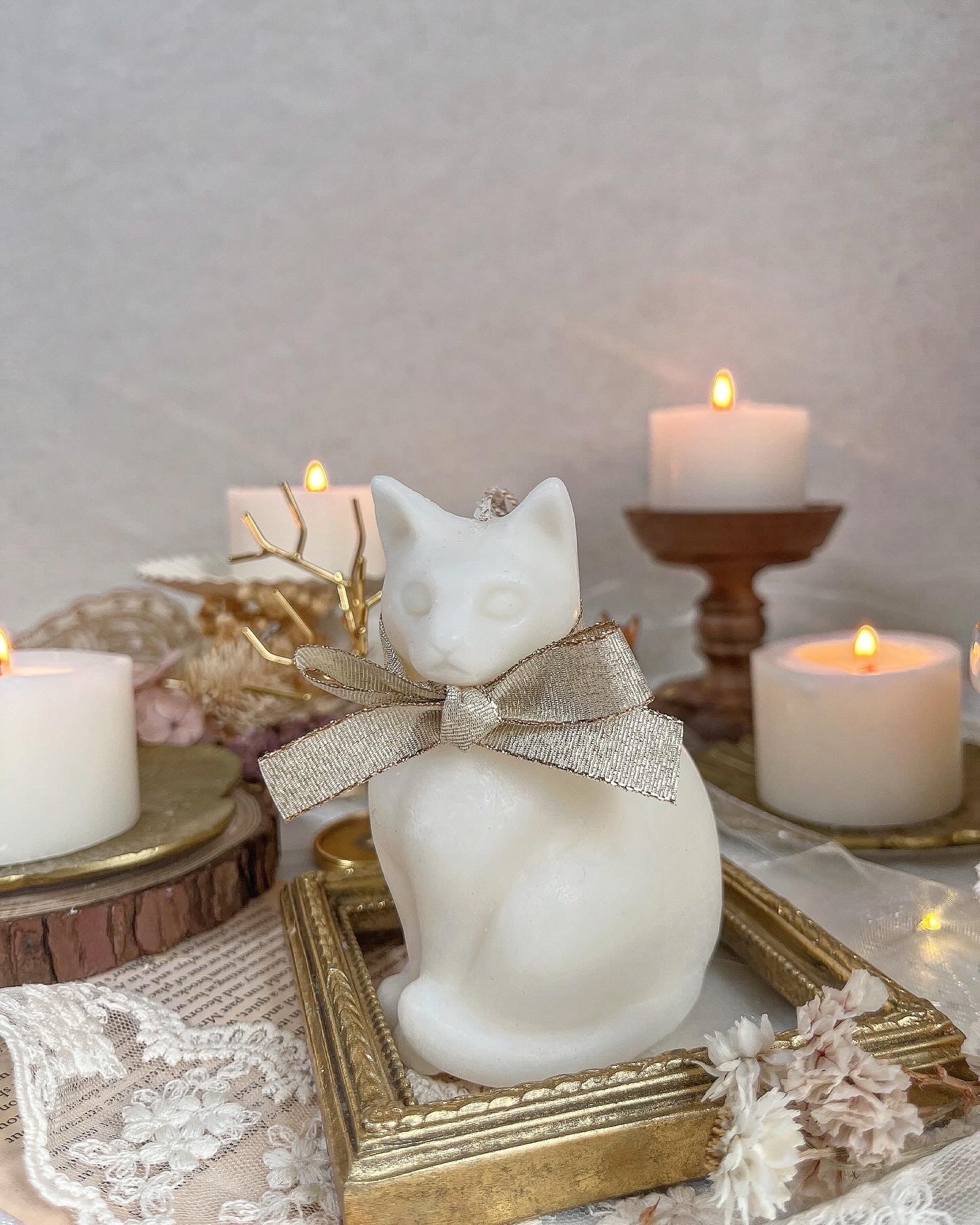 0a11a6b30c63f68bedb541d7c9ac5c