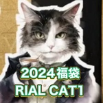 2024年　初売り福袋 　RIAL CAT 1 コラージュシート 5種