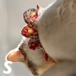 猫用ザビエル首輪《S》コーデュロイ  リトルフラワー  ポピーレッド