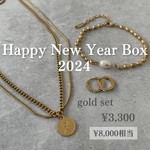 ステンレス つけっぱなしOk Happy New Year Set 2024 gold 福袋　