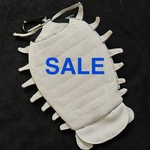 【新春SALE】ダイオウグソクムシ