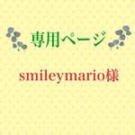こちらは専用ページになります