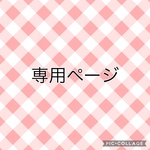 専用ページ