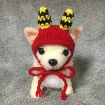 超小型犬用帽子・チワワ用❤️節分❤️鬼の帽子