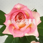 miki-shati様専用品