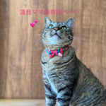 蓮音ママ様専用ページ　猫用ハンモック2点