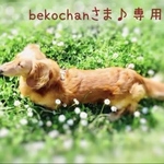 bekochanさま♪専用