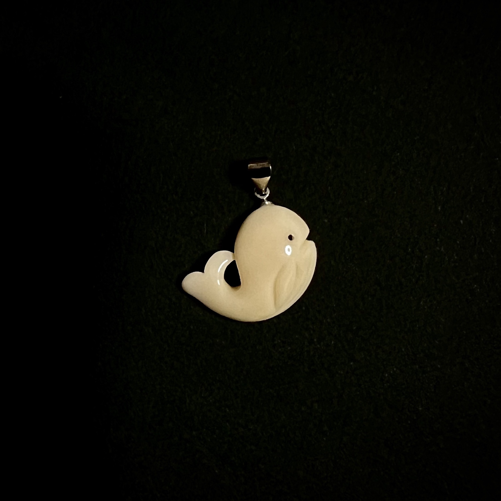 SALE】鯨歯 マッコウクジラのピアス 1518 - ARTIST SENSYU | minne