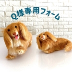 Q様専用フォームです。