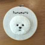 ビションフリーゼ　壁掛け　お名前の刺繍をします