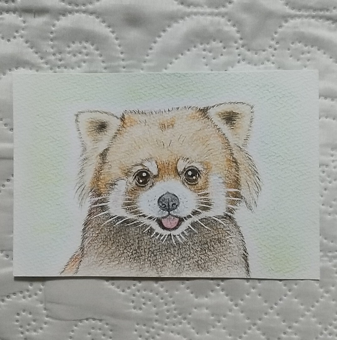 レッサーパンダ - イラストの人気通販 | minne byGMOペパボ 国内最大級