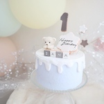 ゲスト様　専用　数量限定！ライトブルークレイケーキ☆ハーフバースデー誕生日ケーキ　誕生日ケーキ　記念日　自宅撮影　1歳以外でも承ってます♪