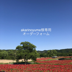 ✨お客様専用オーダーフォームです✨【宝石質サンタマリアアクアマリン】花紺青色のsilver925リング/ブラジル産AAA/5×3mmオーバル