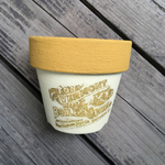 リメイク鉢 2.5号鉢 #52